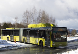 Nettbuss Midt-Norge #368, Lohove snuplass, Tron