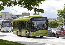 Nettbuss Midt-Norge #455, Prinsens gate, Trondh